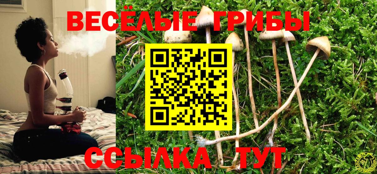 Белебей  Псилоцибиновые грибы прущие грибы  Вход с VPN 