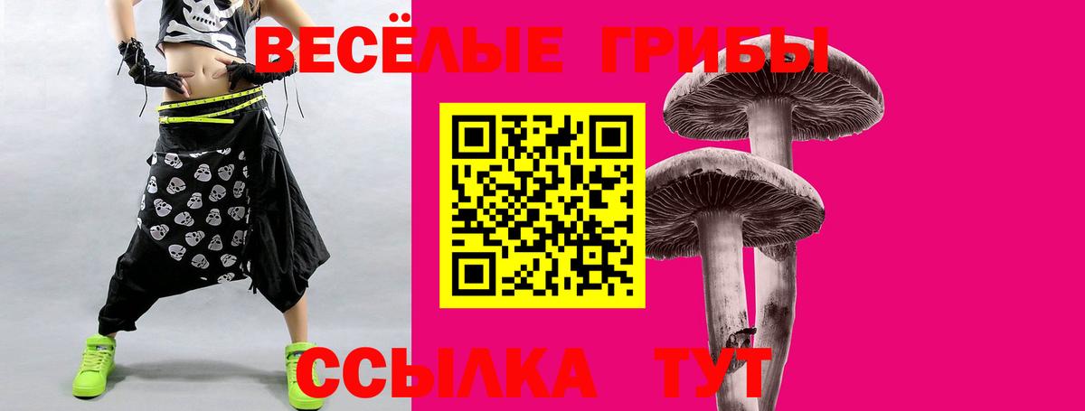 Галлюциногенные грибы GOLDEN TEACHER Белебей